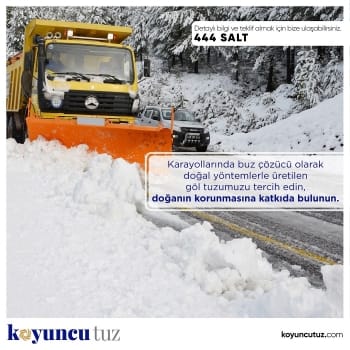 Gallery Koyuncu Salt