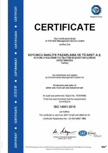 ISO 14001:2015 Certificat - Koyuncu Sel
