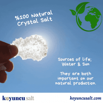 Gallery Koyuncu Salt