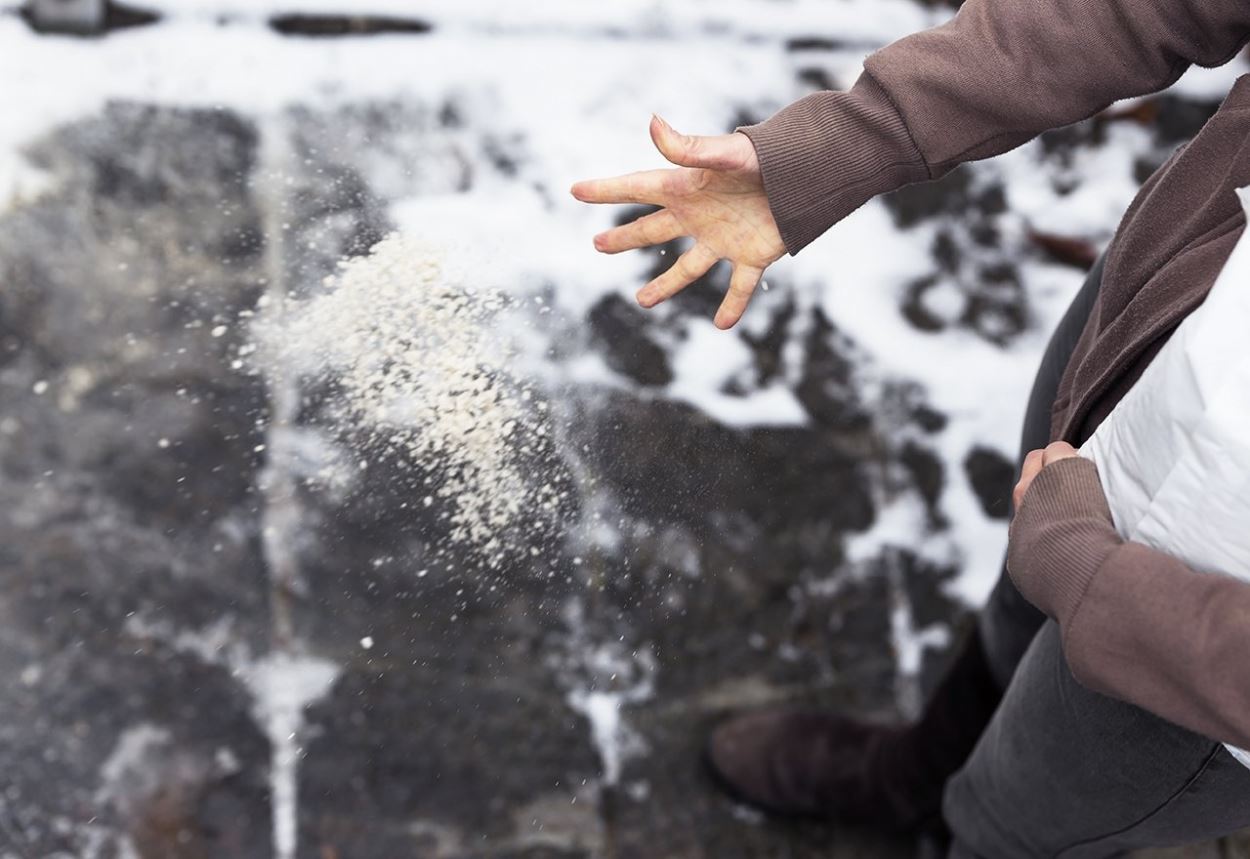 Are there eco-friendly alternatives to road salt?