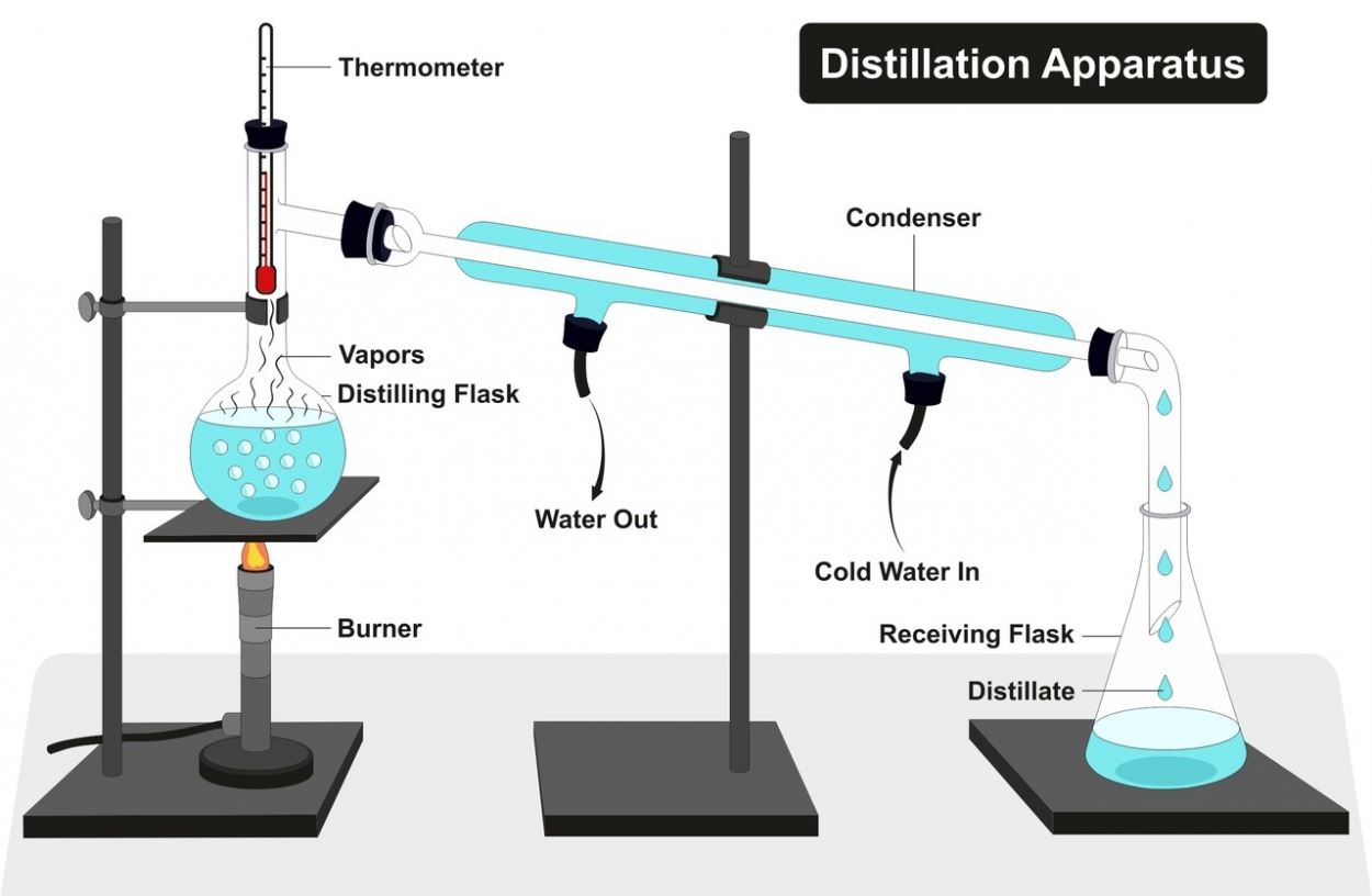 Why Does Salt Dissolve In Water? How to Separate Them Back? Salt